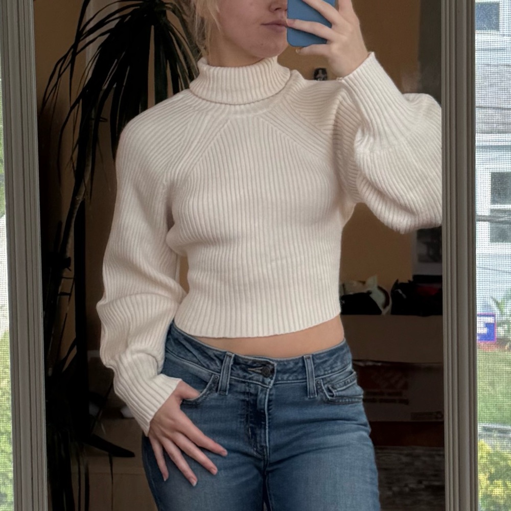 Princess Polly Bernadette Cropped Turtleneck Sweater